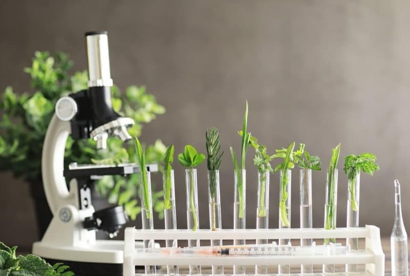 Resova Health: Your Genetic Testing Antidepressants Clinic